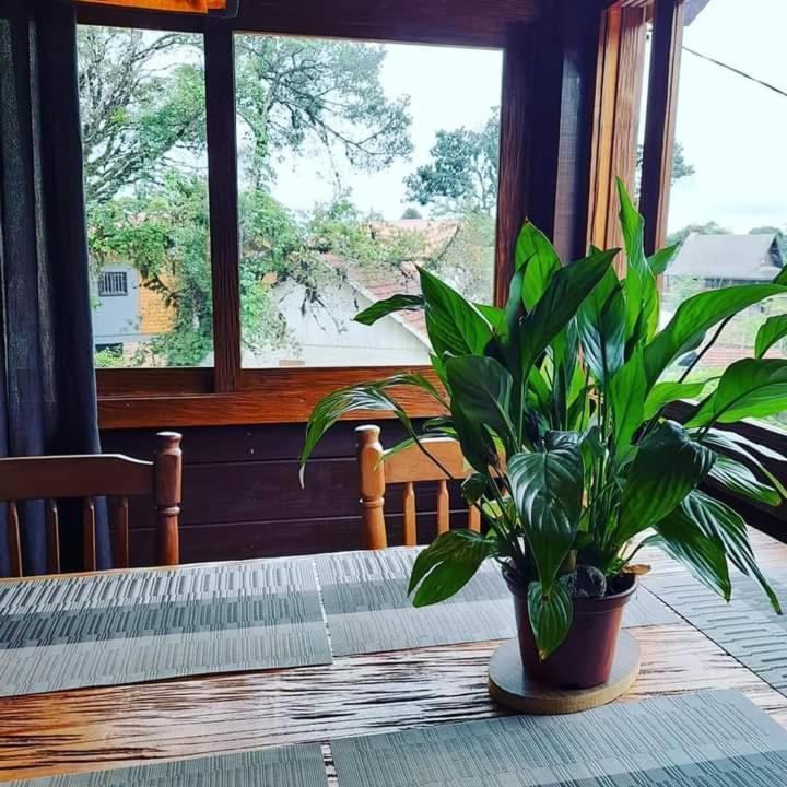Refugio Jardim Mariana Hotel Canela Ngoại thất bức ảnh